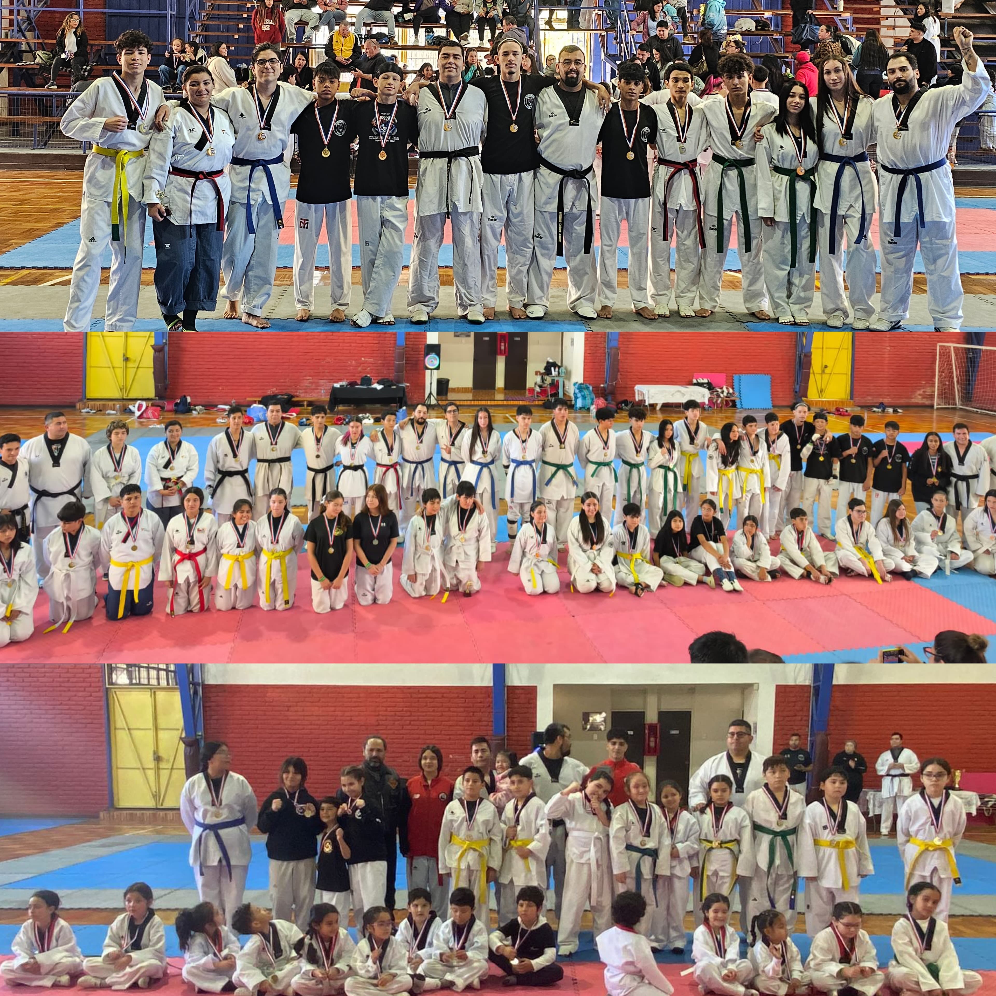 Encuentro de combate promesas Ohiggins 2026